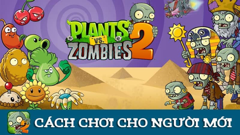 Hướng dẫn cách chơi Plants vs Zombies 2 cho người mới bắt đầu